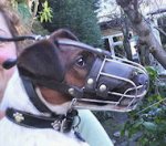 American Foxhound Muzzle - Wire Muzzle,Cage Muzzle,Basket Dog Muzzle For American Foxhound