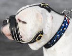 Royal Nappa Leather PADDED Dog Muzzle fit American Bulldog -