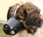 Leather Dog Muzzle for Caucasian Shepherd-Not Latigo Muzzle