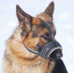 Nappa Padded Leather Dog Muzzle