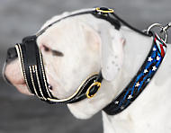 Royal Nappa Leather PADDED Dog Muzzle fit American Bulldog -