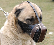 Agitation/Police Dog Muzzle For Anatolian Shepherd-Leather Muzzle