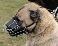 Anatolian Shepherd Muzzle - Wire Muzzle,Cage Muzzle,Basket Dog Muzzle For Anatolian Shepherd