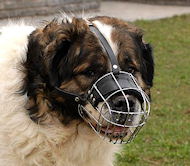 Caucasian Shepherd Muzzle - Wire Muzzle,Cage Muzzle,Basket Dog Muzzle For Caucasian Shepherd