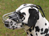Dalmatian Muzzle - Wire Muzzle,Cage Muzzle,Basket Dog Muzzle For Dalmatian