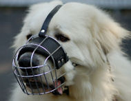 Pyrenees Wire Basket Dog Muzzle-Pyrenean Mountain Cage Muzzle Pyrenees Wire Basket Dog Muzzle-Pyrenean Mountain Cage Muzzle