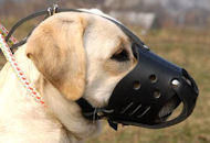 Leather Dog Muzzle for Labrador Retriever-Not Latigo Muzzle