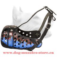 Beautiful Painted Leather Dog Muzzle