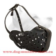 Leather Dog Muzzle For Agitation Training