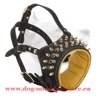 Gorgeous Medium Leather Dog Muzzle For Stylish Dogs