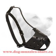 Medium Everyday Leather Dog Muzzle M51 1062 Leather Muzzle