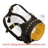 Leather Dog Muzzle For Obedience Training