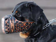 Hand painted by our artists leather Muzzle "Dondi" Plus-Rottweil