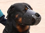 Leather Dog Muzzle for Rottweiler-Not Latigo Muzzle