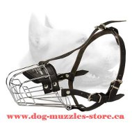 Akita/Siberian Husky Muzzle - Wire Muzzle,Cage Muzzle,Basket Dog Muzzle For Akita/Siberian Husky