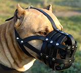 Leather Basket Dog Muzzle for Staffordshire Terrier - Click Image to Close