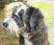 Bearded Collie Muzzle - Wire Muzzle,Cage Muzzle,Basket Dog Muzzle For Bearded Collie