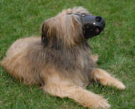 Leather Dog Muzzle for Briard-Not Latigo Muzzle