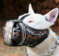 Barbed Wire Painted Leather Dog Muzzle