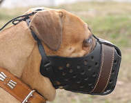 Agitation/Police Dog Muzzle For Bullmastiff-Leather Muzzle