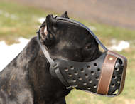 Agitation/Police Dog Muzzle For Cane Corso-Leather Muzzle