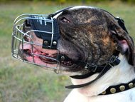 american-bulldog-muzzles