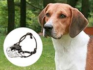 american-foxhound-muzzles