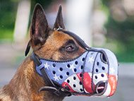 Dog muzzle for belgian malinois sale
