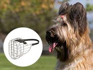 briard-muzzles