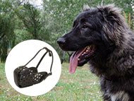 caucasian-shepherd-muzzles