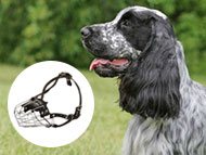 english-cocker-spaniel-muzzles