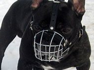 french-bulldog-muzzles