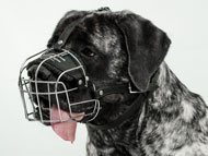 mastiff-muzzles