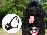 newfoundland-muzzles