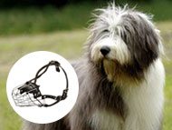 polish-lowland-shepherd-muzzles