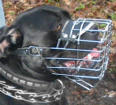 Wire Dog Muzzle for Mastiff -Mastiff Basket Cage Dog Muzzle - M9