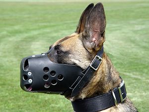 tactical dog muzzle