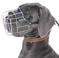 Great Dane Muzzle - Wire Muzzle,Cage Muzzle,Basket Dog Muzzle For Great Dane
