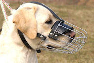 Labrador Retriever Muzzle - Wire Muzzle,Cage Muzzle,Basket Dog Muzzle For Labrador Retriever