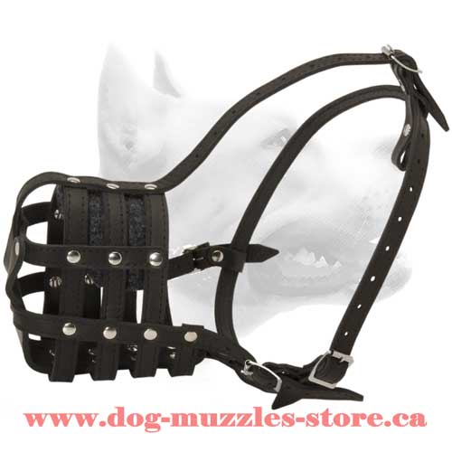 Medium Leather Dog Muzzle For Free Breathing
