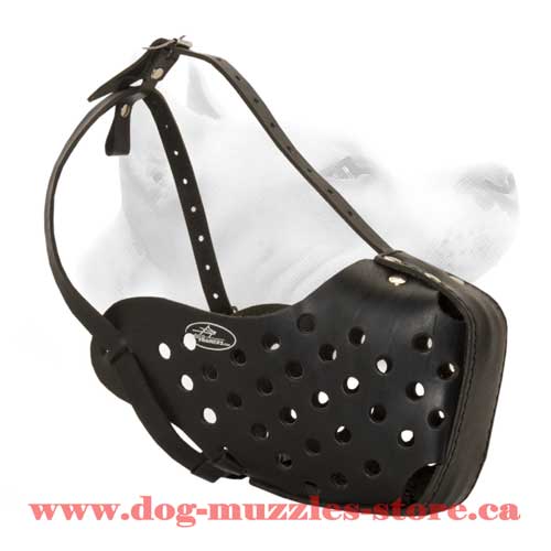 Leather Dog Muzzle For Agitation Training