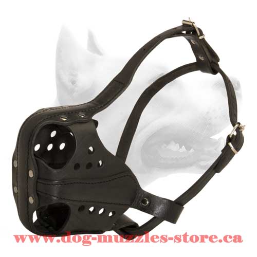 Leather Dog Muzzle For Working Dogs