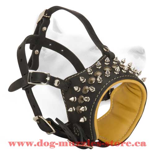 Gorgeous Medium Leather Dog Muzzle For Stylish Dogs