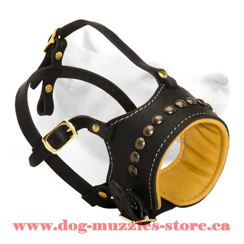 Leather Dog Muzzle For Obedience Training - Click Image to Close