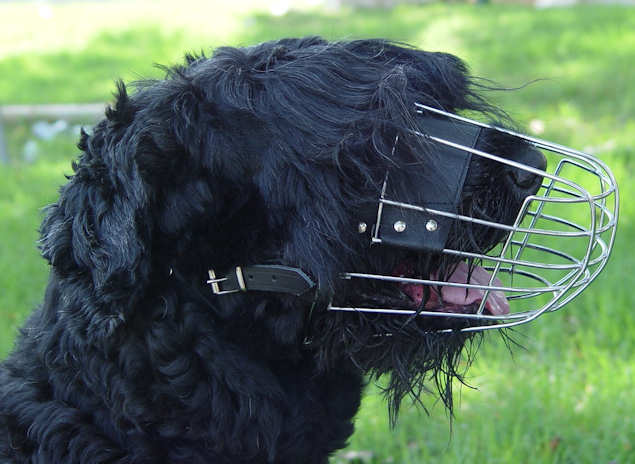 Black Russian Terrier Muzzle - Wire Muzzle,Cage Muzzle,Basket Dog Muzzle For Black Russian Terrier