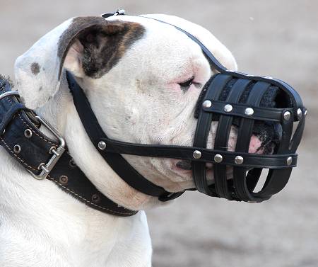 Leather sales basket muzzle