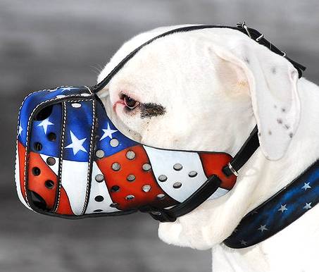 Muzzle that top
