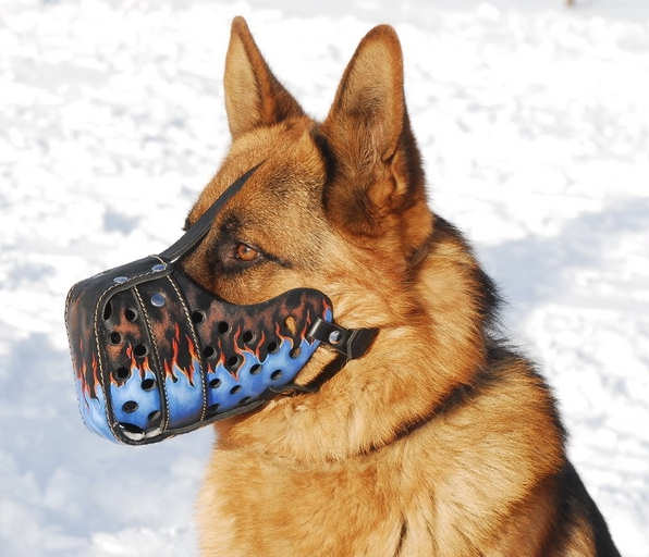 Leather dog muzzle 