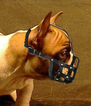 French Bulldog Light Weight Ventilation small leatthe muzzle M41