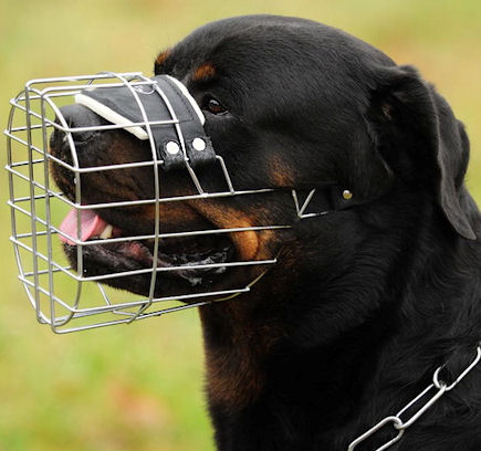 Dog muzzle for rottweiler deals